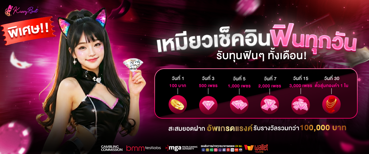 เหมียวเช็คอินฟินทุกวัน
